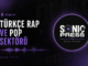 Türkçe Rap Ve Pop Sektörü